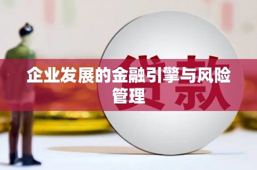 乌来企业发展的金融引擎与风险管理