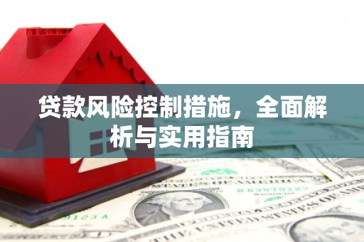 乌来贷款风险控制措施，全面解析与实用指南