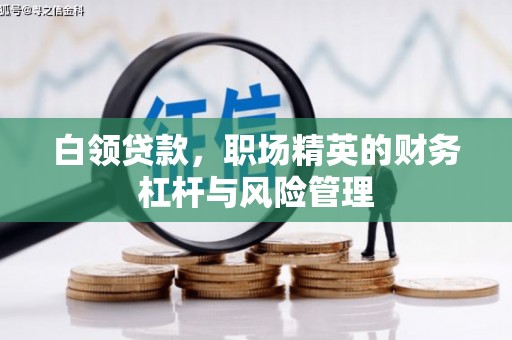 乌来白领贷款，职场精英的财务杠杆与风险管理