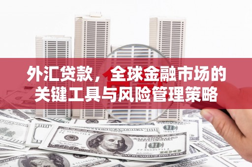 乌来外汇贷款，全球金融市场的关键工具与风险管理策略