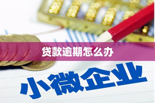 乌来贷款逾期怎么办