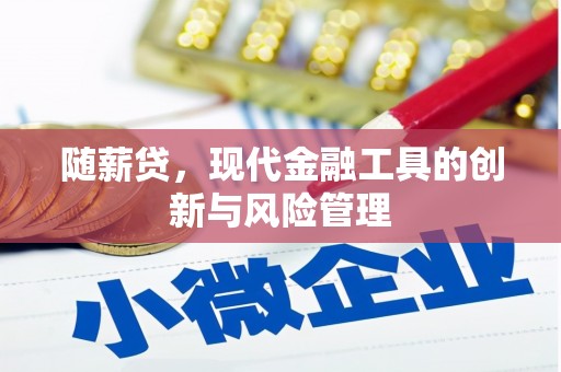 乌来随薪贷，现代金融工具的创新与风险管理