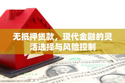 乌来无抵押贷款，现代金融的灵活选择与风险控制