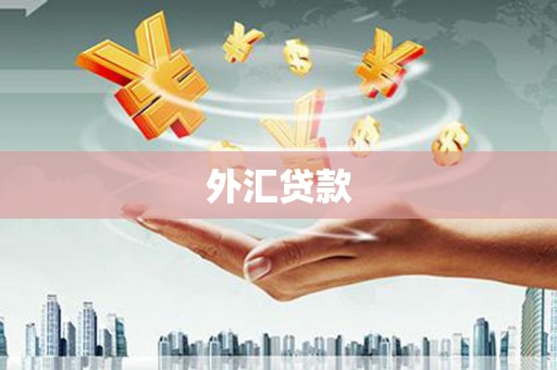乌来外汇贷款