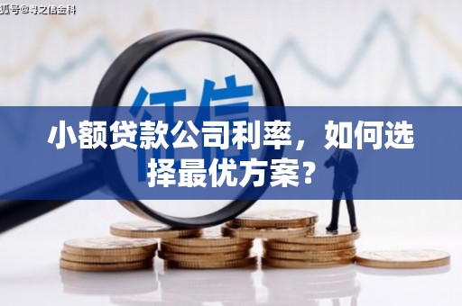 乌来小额贷款公司利率，如何选择最优方案？