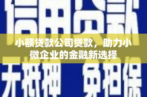 乌来小额贷款公司贷款，助力小微企业的金融新选择