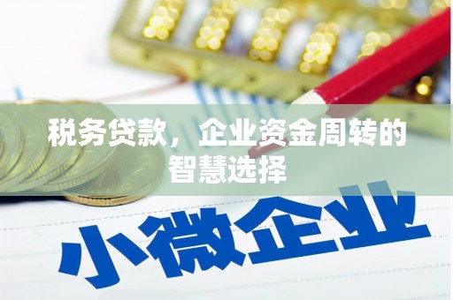 乌来税务贷款，企业资金周转的智慧选择