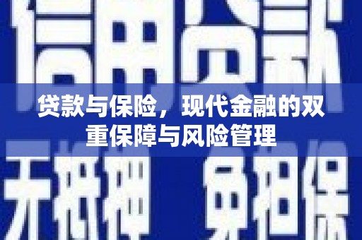 乌来贷款与保险，现代金融的双重保障与风险管理