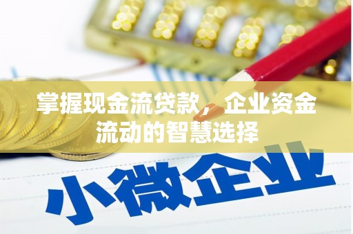 乌来掌握现金流贷款，企业资金流动的智慧选择
