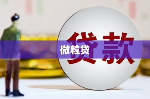 乌来微粒贷