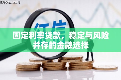乌来固定利率贷款，稳定与风险并存的金融选择