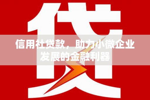 乌来信用社贷款，助力小微企业发展的金融利器