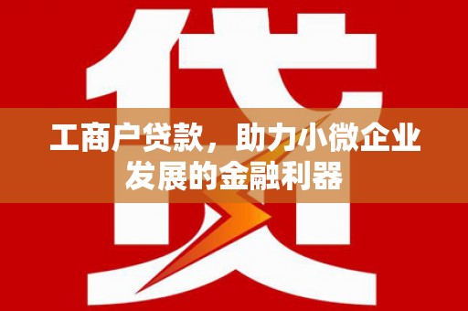 乌来工商户贷款，助力小微企业发展的金融利器