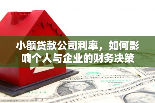 乌来小额贷款公司利率，如何影响个人与企业的财务决策