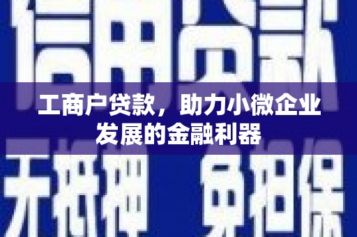 乌来工商户贷款，助力小微企业发展的金融利器