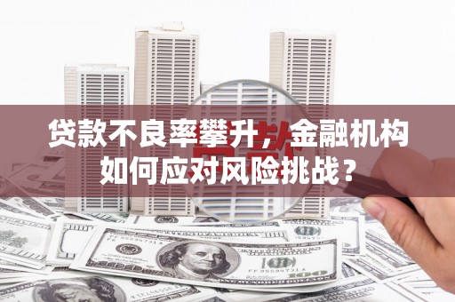 乌来贷款不良率攀升，金融机构如何应对风险挑战？