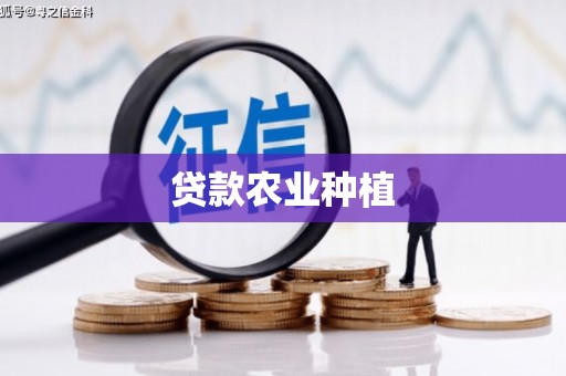 乌来贷款农业种植