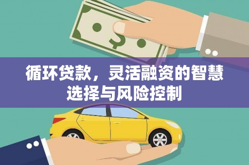 乌来循环贷款，灵活融资的智慧选择与风险控制