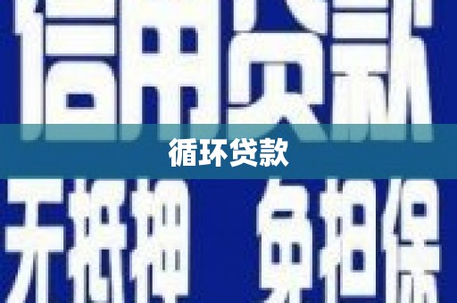 乌来循环贷款
