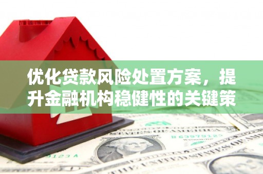 乌来优化贷款风险处置方案，提升金融机构稳健性的关键策略