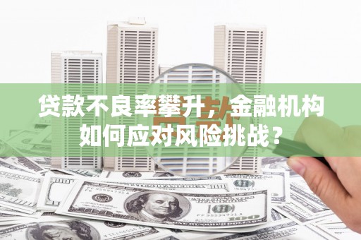 乌来贷款不良率攀升，金融机构如何应对风险挑战？