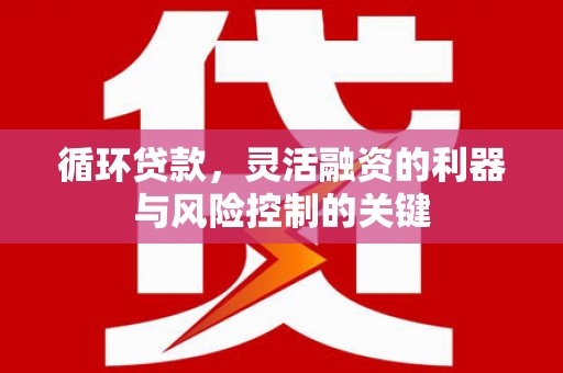 乌来循环贷款，灵活融资的利器与风险控制的关键