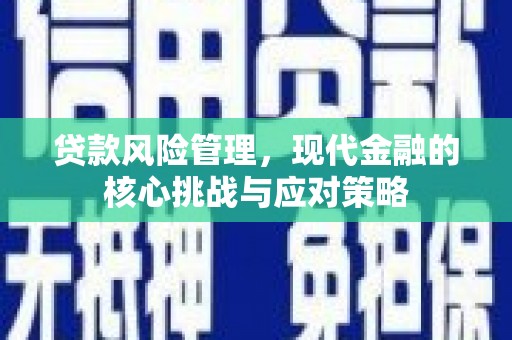乌来贷款风险管理，现代金融的核心挑战与应对策略