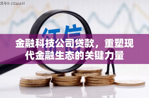 乌来金融科技公司贷款，重塑现代金融生态的关键力量