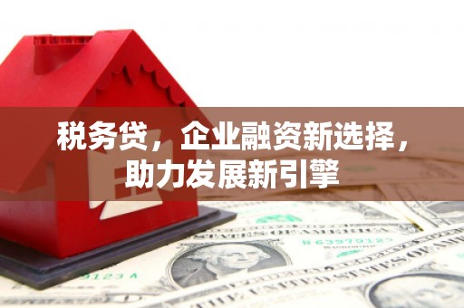 乌来税务贷，企业融资新选择，助力发展新引擎