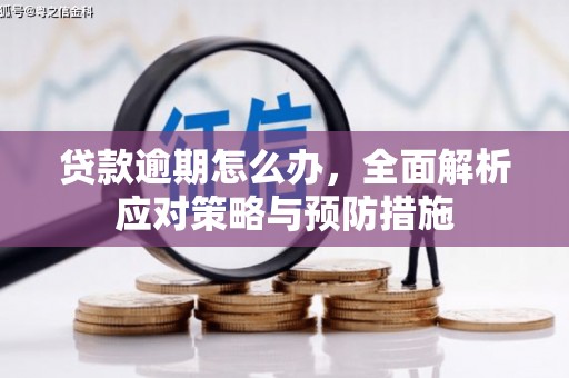 乌来贷款逾期怎么办，全面解析应对策略与预防措施