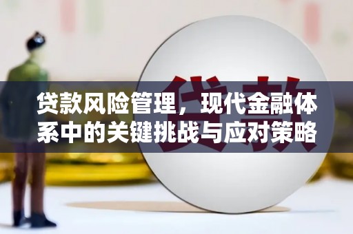 乌来贷款风险管理，现代金融体系中的关键挑战与应对策略