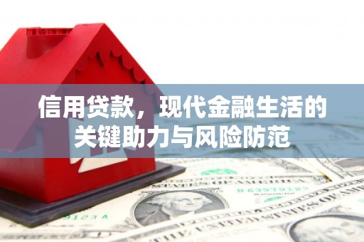 乌来信用贷款，现代金融生活的关键助力与风险防范