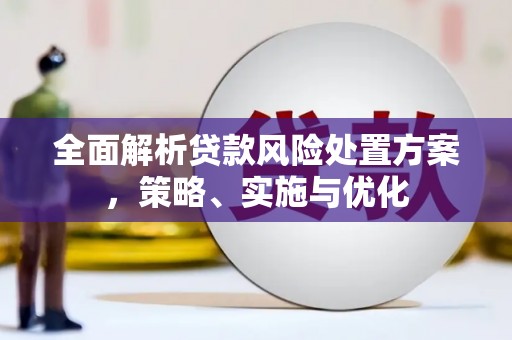 乌来全面解析贷款风险处置方案，策略、实施与优化