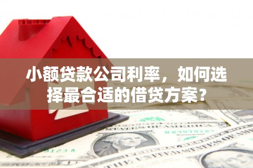 乌来小额贷款公司利率，如何选择最合适的借贷方案？