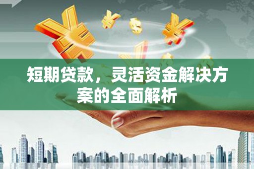 乌来短期贷款，灵活资金解决方案的全面解析