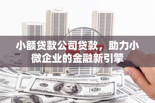 乌来小额贷款公司贷款，助力小微企业的金融新引擎