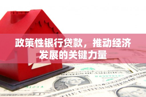 乌来政策性银行贷款，推动经济发展的关键力量