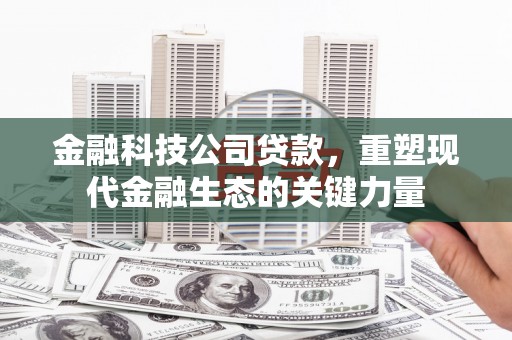 乌来金融科技公司贷款，重塑现代金融生态的关键力量