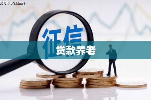 乌来贷款养老