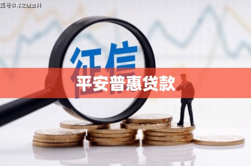 乌来平安普惠贷款