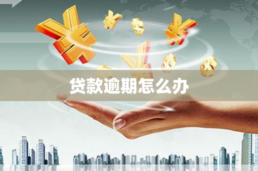 乌来贷款逾期怎么办