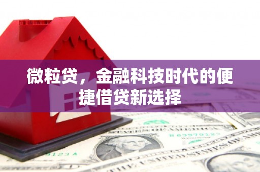 乌来微粒贷，金融科技时代的便捷借贷新选择
