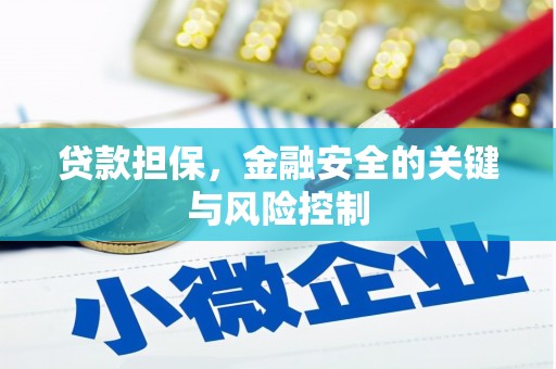 乌来贷款担保，金融安全的关键与风险控制