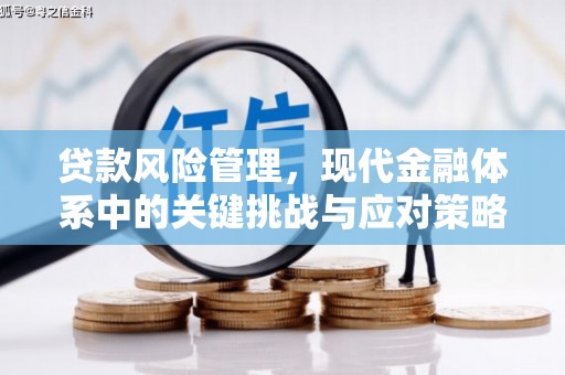 乌来贷款风险管理，现代金融体系中的关键挑战与应对策略