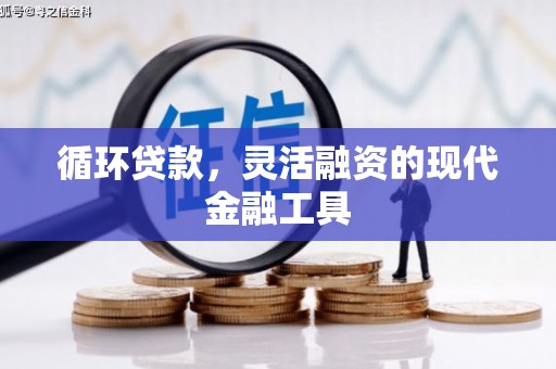 乌来循环贷款，灵活融资的现代金融工具