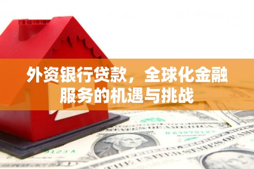 乌来外资银行贷款，全球化金融服务的机遇与挑战