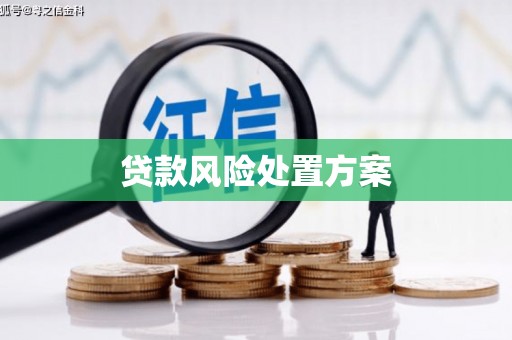 乌来贷款风险处置方案