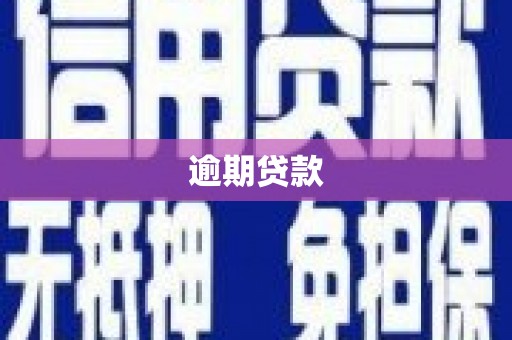 乌来逾期贷款