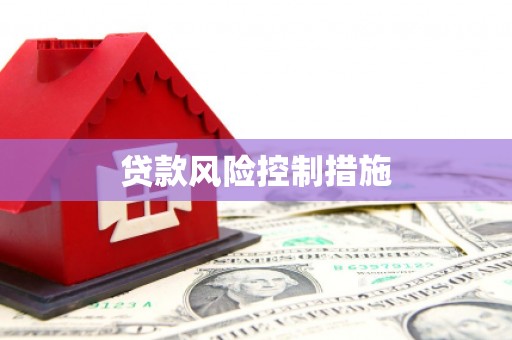 乌来贷款风险控制措施
