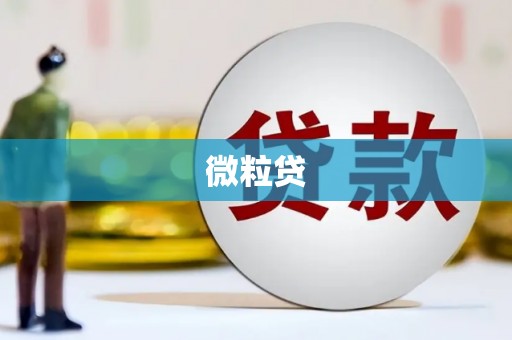 乌来微粒贷